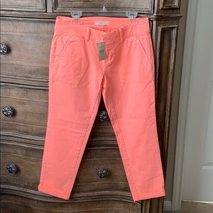 LOFT NWT Stretch Skinny Petite Jean
